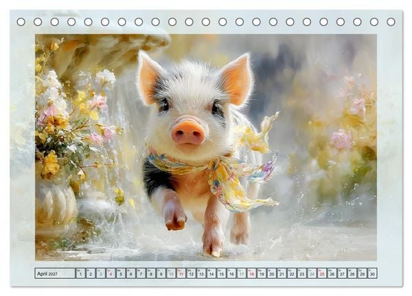 Produktbild: Mini-Schweinchen. Herzensbrecher im Garten (Tischkalender 2027 DIN A5 quer), CALVENDO Monatskalender