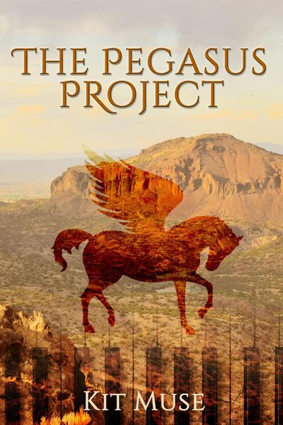 Produktbild: The Pegasus Project: Pegasus Academy Founding (The Pegasus Enchantment, #1)