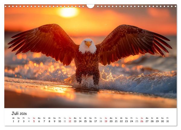 Produktbild: Majest&auml;tische Wei&szlig;kopfseeadler - Der K&ouml;nig der L&uuml;fte (Wandkalender 2026 DIN A3 quer), CALVENDO Monatskalender