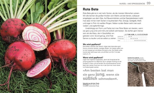 Produktbild: Gem&uuml;se f&uuml;r jeden Garten