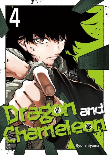 Produktbild: Dragon and Chameleon 04