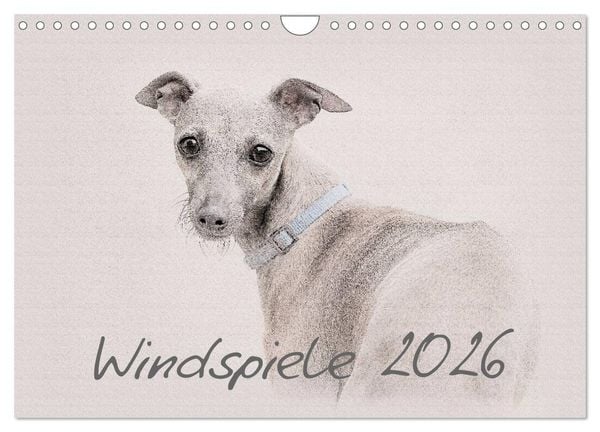 Produktbild: Windspiele 2026 (Wandkalender 2026 DIN A4 quer), CALVENDO Monatskalender
