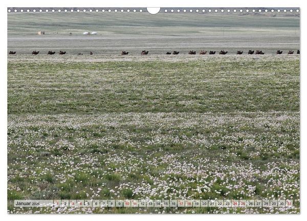 Produktbild: Nord-Gobi (Wandkalender 2026 DIN A3 quer), CALVENDO Monatskalender