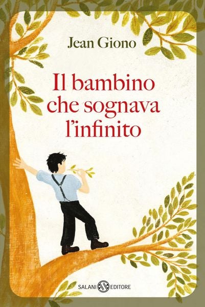 Produktbild: Il bambino che sognava l'infinito