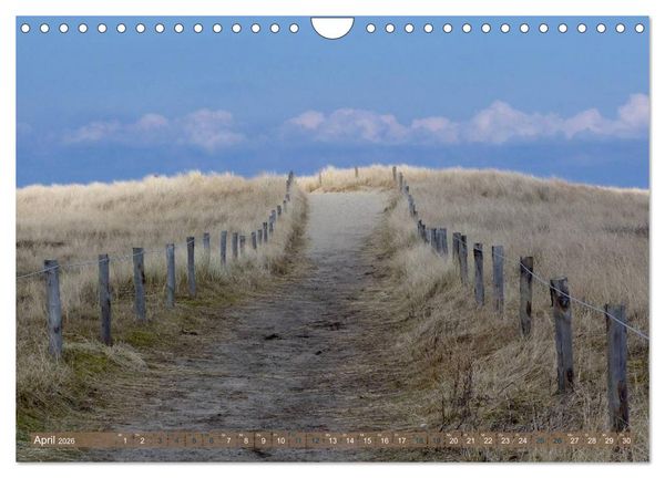 Produktbild: Strandwanderungen auf Texel (Wandkalender 2026 DIN A4 quer), CALVENDO Monatskalender
