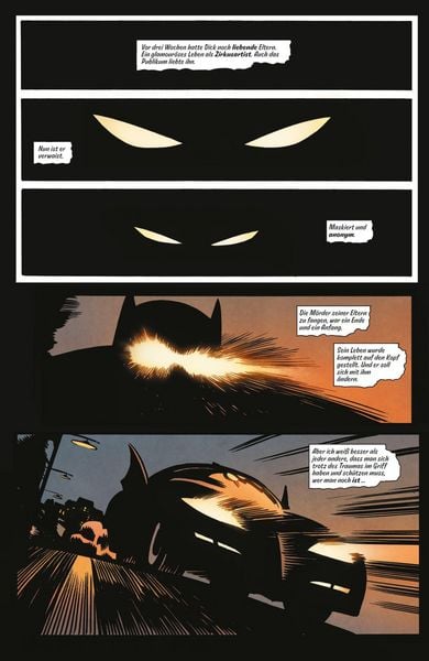 Produktbild: Batman & Robin: Das erste Jahr