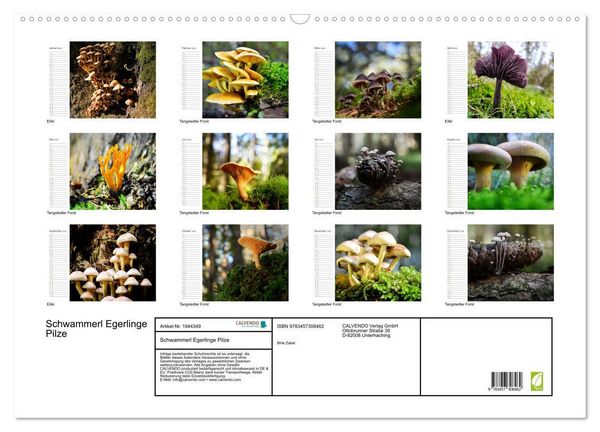 Produktbild: Schwammerl Egerlinge Pilze (Wandkalender 2026 DIN A2 quer), CALVENDO Monatskalender