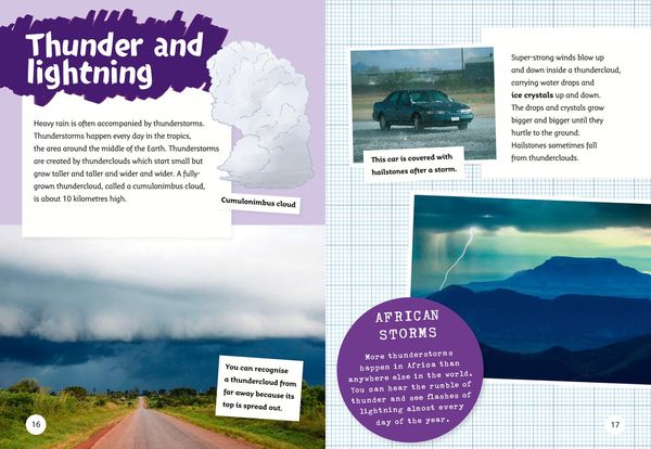Produktbild: Big Cat - Wild Weather