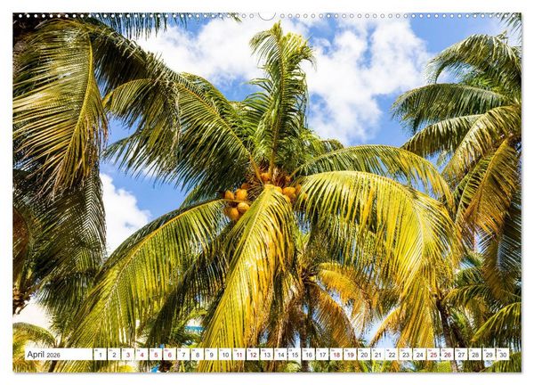 Produktbild: Unterwegs auf Yucatan Mexiko (hochwertiger Premium Wandkalender 2026 DIN A2 quer), Kunstdruck in Hochglanz