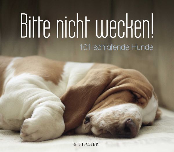 Produktbild: Bitte nicht wecken!