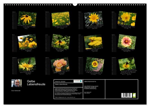 Produktbild: Gelbe Lebensfreude (Wandkalender 2026 DIN A2 quer), CALVENDO Monatskalender
