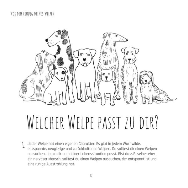 Produktbild: Die Welpen-Fibel. Junge Hunde im ersten Lebensjahr: Sozialisierung, Erziehung, Besch&auml;ftigung
