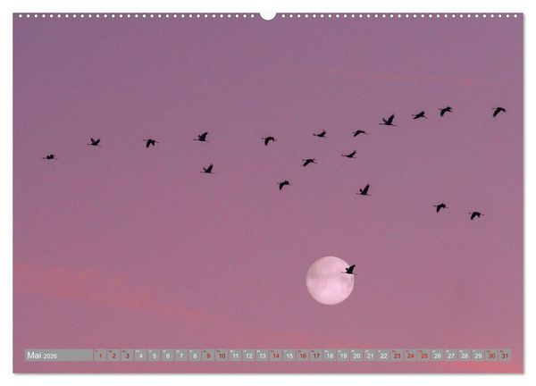 Produktbild: Vollmond - Momente der Ruhe (Wandkalender 2026 DIN A2 quer), CALVENDO Monatskalender