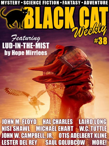 Produktbild: Black Cat Weekly #38