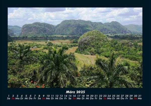 Produktbild: B&auml;ume 2025 Fotokalender DIN A4