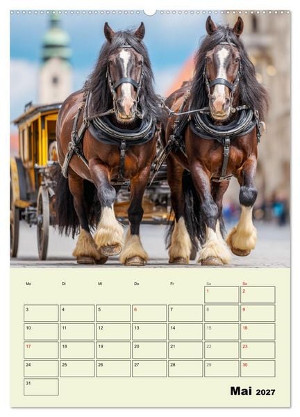 Produktbild: Shire Horse Magie. Englands sanfte Giganten (hochwertiger Premium Wandkalender 2027 DIN A2 hoch), Kunstdruck in Hochglanz