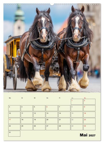 Produktbild: Shire Horse Magie. Englands sanfte Giganten (Wandkalender 2027 DIN A2 hoch), CALVENDO Monatskalender
