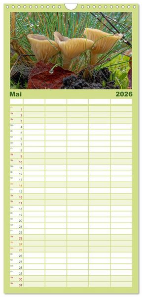 Produktbild: Familienplaner 2026 - Pilze in den Herbstw&auml;ldern mit 5 Spalten (Wandkalender, 21 x 45 cm) CALVENDO