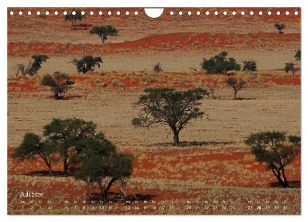 Produktbild: Afrikanische B&auml;ume (Wandkalender 2026 DIN A4 quer), CALVENDO Monatskalender