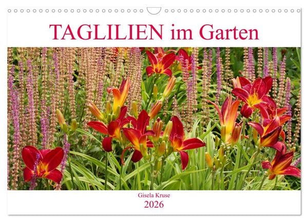 Taglilien im Garten (Wandkalender 2026 DIN A3 quer), CALVENDO Monatskalender