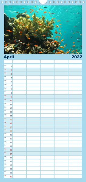 Produktbild: Riffleben - Einfach mal abtauchen - Familienplaner hoch (Wandkalender 2022 , 21 cm x 45 cm, hoch)