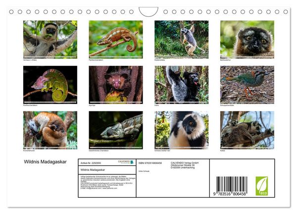 Produktbild: Wildnis Madagaskar (Wandkalender 2027 DIN A4 quer), CALVENDO Monatskalender