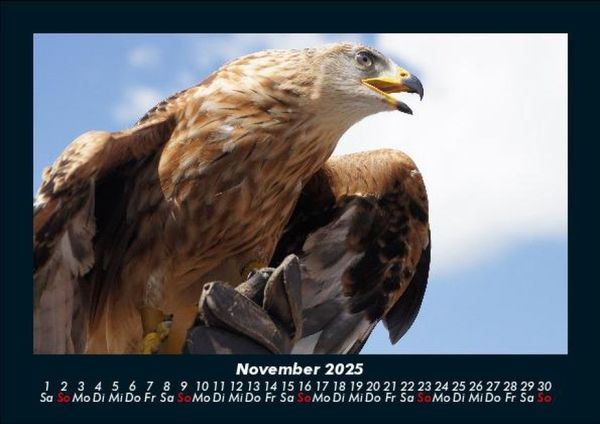 Produktbild: Welt der V&ouml;gel 2025 Fotokalender DIN A5