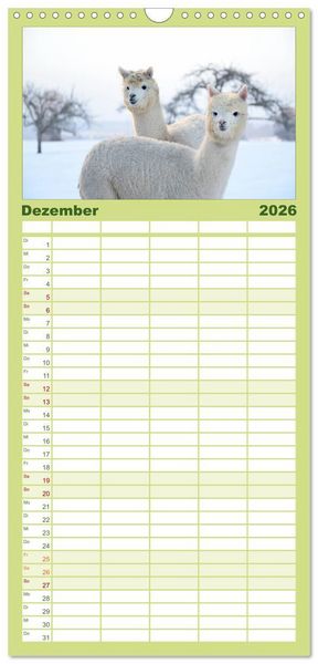 Produktbild: Familienplaner 2026 - Alpakas zum Verlieben mit 5 Spalten (Wandkalender, 21 x 45 cm) CALVENDO