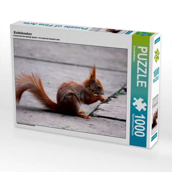 CALVENDO Puzzle Eichhörnchen | 1000 Teile Lege-Größe 64x48cm Foto-Puzzle für glückliche Stunden