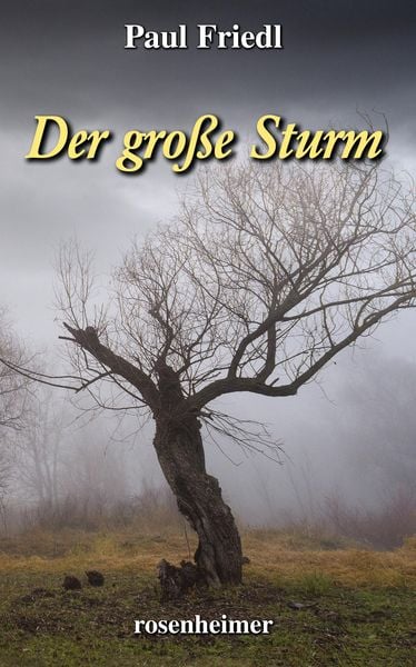 Produktbild: Der gro&szlig;e Sturm