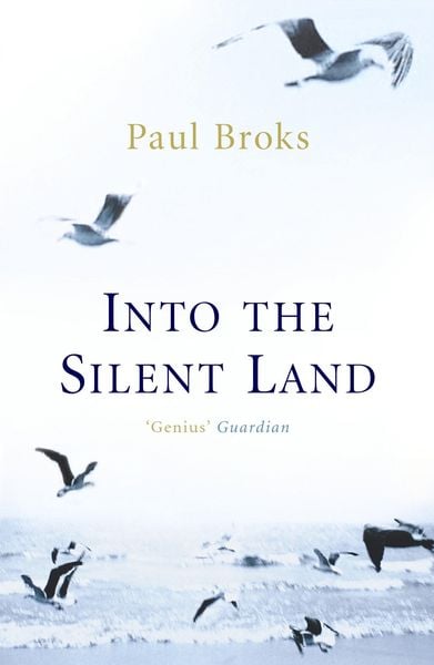 Produktbild: Into the Silent Land
