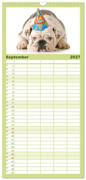 Produktbild: Familienplaner 2027 - English Bulldog XXL Models mit 5 Spalten (Wandkalender, 21 x 45 cm) CALVENDO