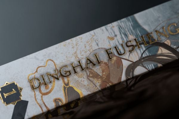 Produktbild: Dinghai Fusheng Records. Buch 1