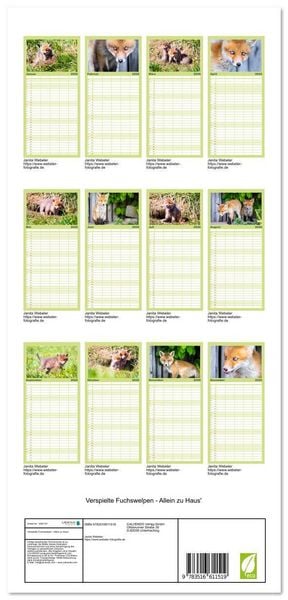 Produktbild: Familienplaner 2026 - Verspielte Fuchswelpen - Allein zu Haus' mit 5 Spalten (Wandkalender, 21 x 45 cm) CALVENDO