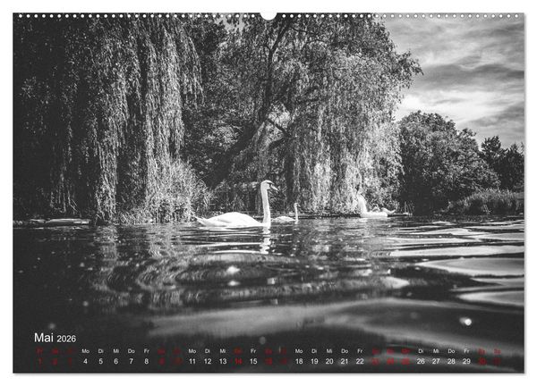 Produktbild: FREIWASSERLUST (hochwertiger Premium Wandkalender 2026 DIN A2 quer), Kunstdruck in Hochglanz