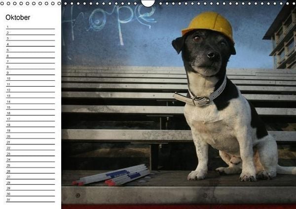Produktbild: Jack Russell Terrier - Ein Verwandlungsk&uuml;nstler namens Jake / Geburtstagskalender (Wandkalender immerw&auml;hrend DIN A3 quer)