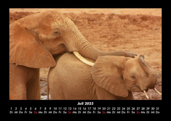 Produktbild: Tierkalender 2025 Fotokalender DIN A3