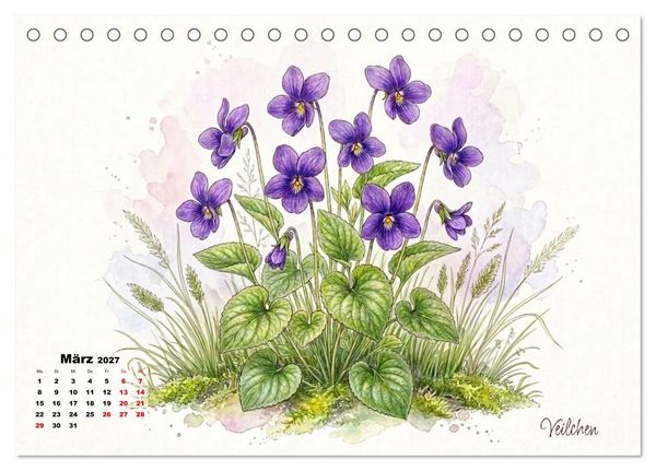 Produktbild: Wilde Kostbarkeiten &ndash; Essbar, gesund & wundersch&ouml;n (Tischkalender 2027 DIN A5 quer), CALVENDO Monatskalender
