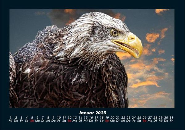 Produktbild: Adler 2025 Fotokalender DIN A4