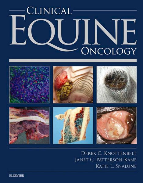 Produktbild: Clinical Equine Oncology