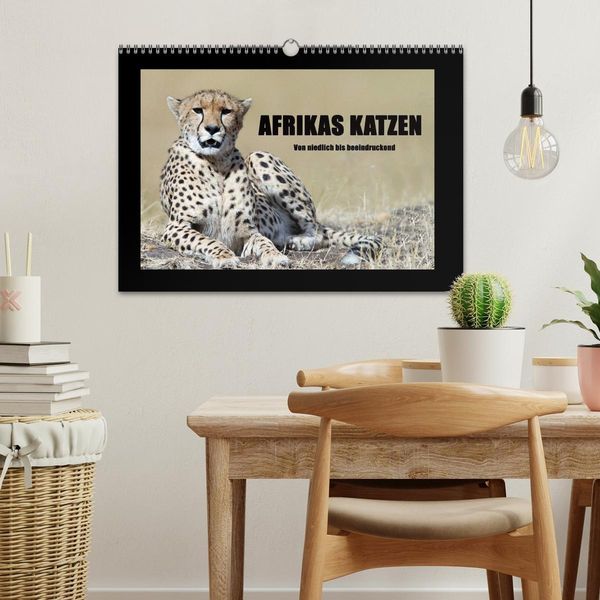Produktbild: Afrikas Katzen (Wandkalender 2026 DIN A3 quer), CALVENDO Monatskalender