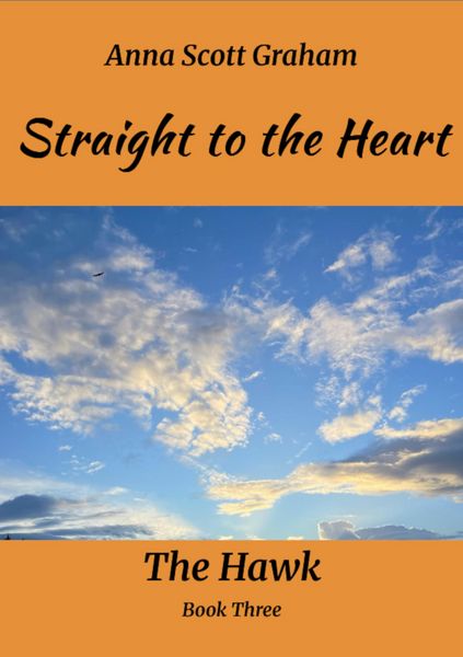 Produktbild: Straight to the Heart: The Hawk Book Three
