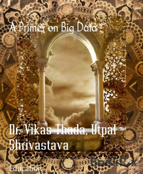 Produktbild: A Primer on Big Data