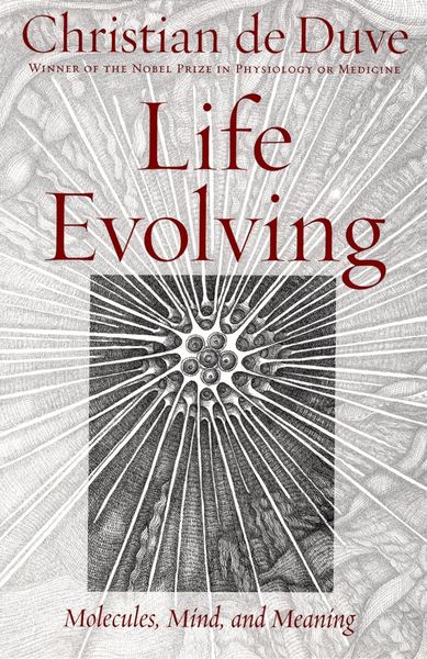 Produktbild: Life Evolving
