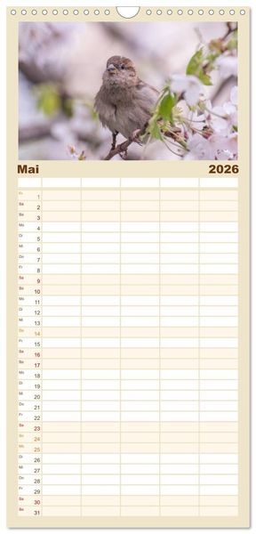 Produktbild: Familienplaner 2026 - Spatzen mit 5 Spalten (Wandkalender, 21 x 45 cm) CALVENDO