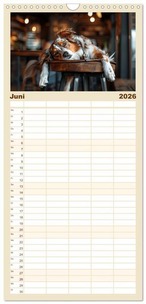 Produktbild: Familienplaner 2026 - Einfach mal abh&auml;ngen mit 5 Spalten (Wandkalender, 21 x 45 cm) CALVENDO