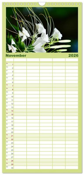 Produktbild: Familienplaner 2026 - Traum Blumen mit 5 Spalten (Wandkalender, 21 x 45 cm) CALVENDO