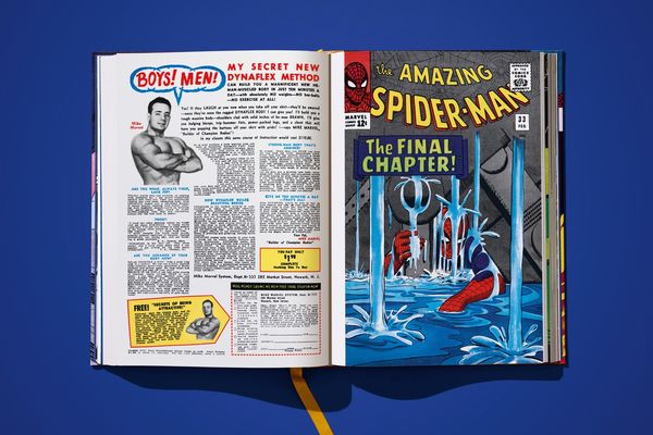 Produktbild: Marvel Comics Library. Spider-Man. Vol. 2. 1965&ndash;1966