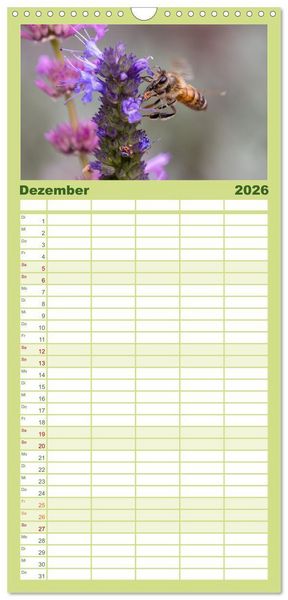 Produktbild: Familienplaner 2026 - Die Wunderwelt der Biene mit 5 Spalten (Wandkalender, 21 x 45 cm) CALVENDO