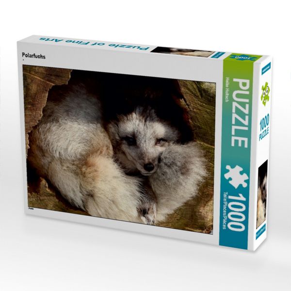 Produktbild: CALVENDO Puzzle Polarfuchs | 1000 Teile Lege-Gr&ouml;&szlig;e 64x48cm Foto-Puzzle f&uuml;r gl&uuml;ckliche Stunden